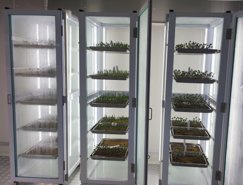 種子發(fā)芽室