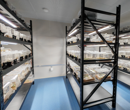 昆蟲培養(yǎng)室